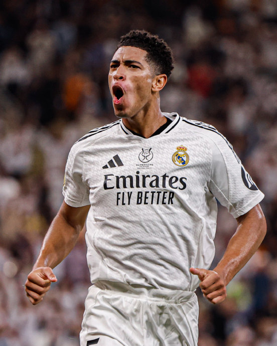 瑞士队极具整体性（瑞士队整体性出众）